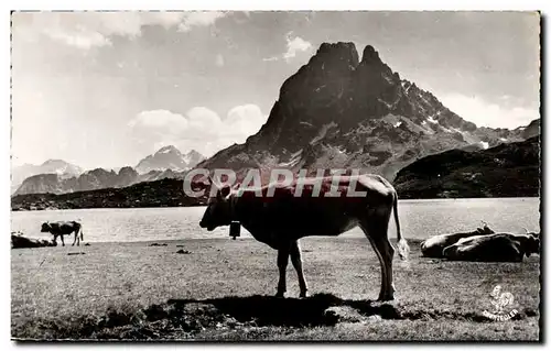 Cartes postales Les Pyrenees Lac d&#39Ayous Pic du Midi d&#39Ossau Vache