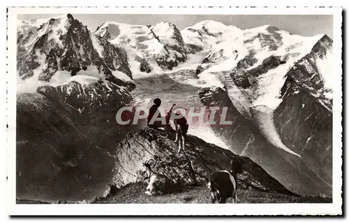 Cartes postales Chamonix Chaine du Mont Blanc Chamois Isard