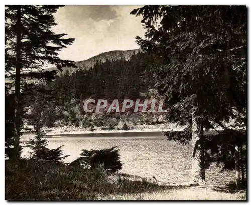 Cartes postales La Vallee De Munster Lac de Soultzeren