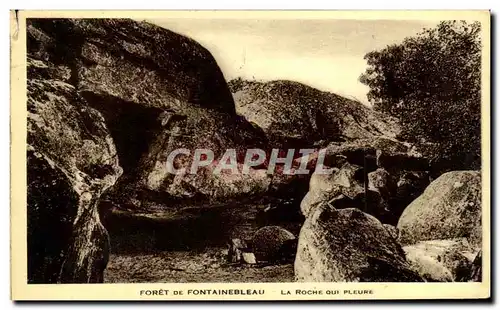 Cartes postales Foret De Fontainebleau La Roche Qui Pleure