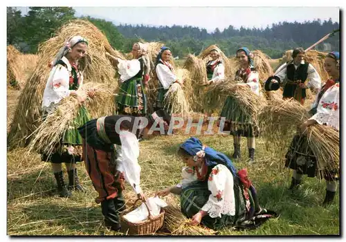 Ansichtskarte AK Representacyjny Zespol Piesni tanca Beskid