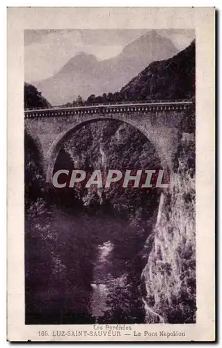 Cartes postales Luz Saint Sauveur Le Pont Napoleon