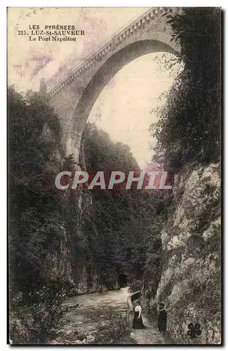 Cartes postales Les Pyrenees Luz St Sauveur Le Pont Napoleon