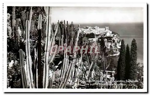 Cartes postales Monaco Les Jardins Exotiques Vue Sur Le Rocher De Monaco