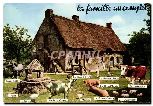 Moderne Karte La Famille au complete Chevre Vaches Cochons Cheval Ane