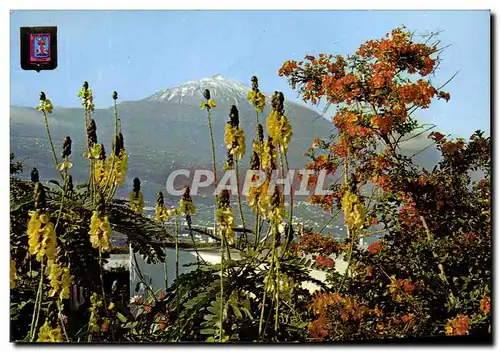 Cartes postales moderne Tenerife Et Teide Preside et coloride