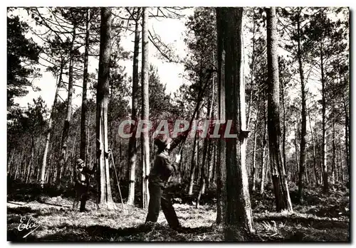 Cartes postales moderne La Lande Les Resiniers Au Travail Metiers Landes