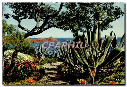 Cartes postales Reflets De La cote D'Azur Harmonie De couleurs Et De Lumlere