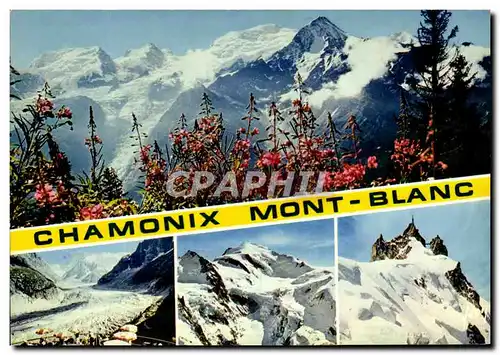 Cartes postales moderne Massif Du Mont Blanc