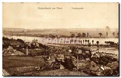 Cartes postales Oppenheim Am Rhein Totalansicht