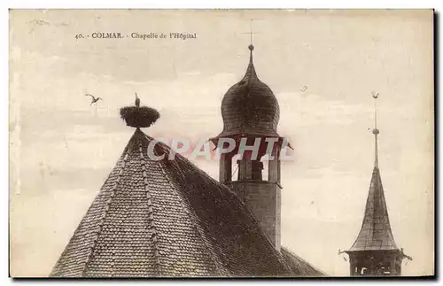 Cartes postales Colmar Chapelle de l'Hopital Cigogne