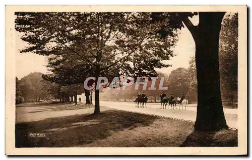 Ansichtskarte AK Les Jolis coins de Paris Avenue du Bois de Boulogne Cheval