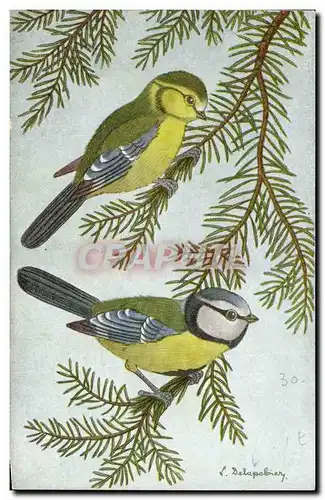 Cartes postales Le Mesange Bleue Oiseau