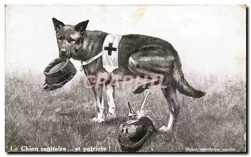 Cartes postales Le Chien sanitaire et patriote Militaria Croix rouge