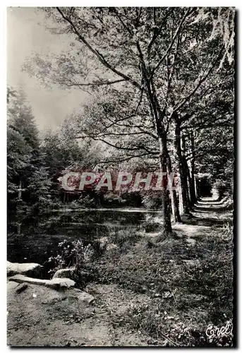 Cartes postales moderne La Jonchere Etang des Pepinieres