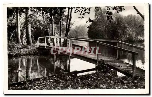 Cartes postales moderne Montoire Sur Le Loir Le Loir