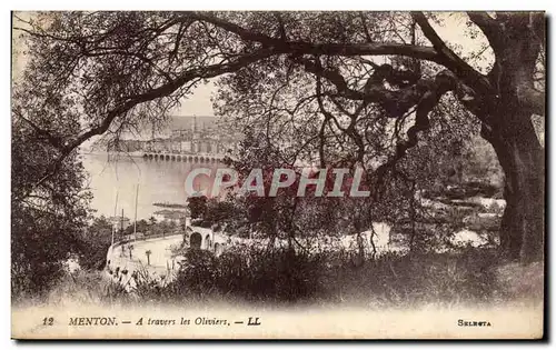 Cartes postales Menton A Travers les Oliviers