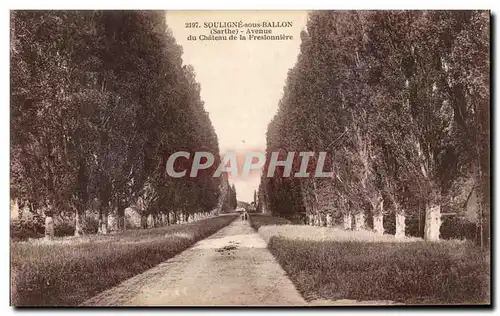 Ansichtskarte AK Souligne Sous Ballon Avenue Du Chateau De La Freslonniere