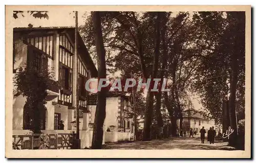 Cartes postales Barbotan Les Thermes La Route Vers Cazaubon Beau Site Hotel