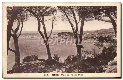 Cartes postales Nice Vue Entre Les Pins