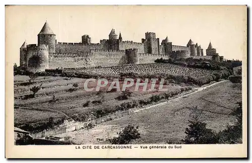 Cartes postales La Cite De Carcassonne Vue Generale du sud