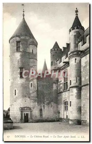 Cartes postales Loches Le Chateau Royal La Tour Agnes Sorel