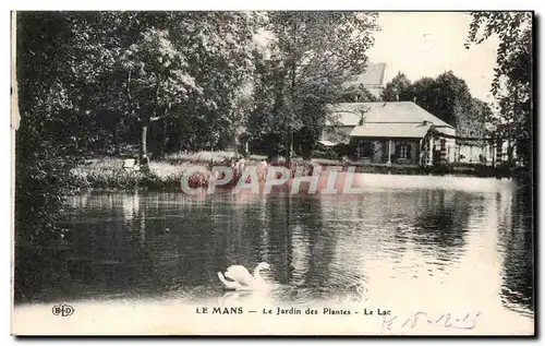 Ansichtskarte AK Le Mans Le Jardin Des Plantes Le Lac Cygne