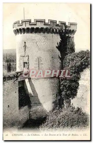 Cartes postales Chinon Le Chateau Les Douves et la Tour de Boissy