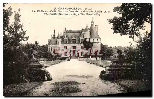 Cartes postales Chenonceaux Le Chateau Vue De La Grande Allee