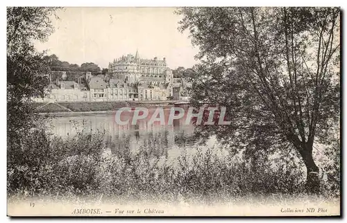 Cartes postales Amboise Vue Sur Le Chateau