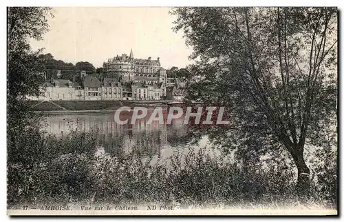 Cartes postales Amboise Vue Sur Le Chateau