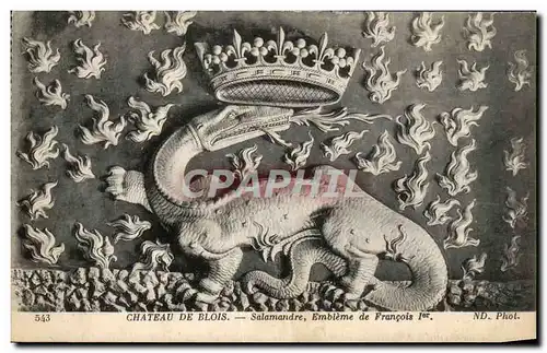 Ansichtskarte AK Chateau De Blois Salamandre Embleme de Francois 1er