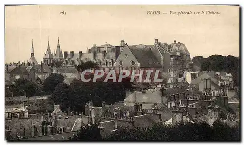 Cartes postales Blois Vue Generale sur le Chateau