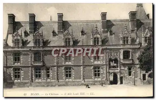 Cartes postales Blois Le Chateau L&#39Aile Louis XII