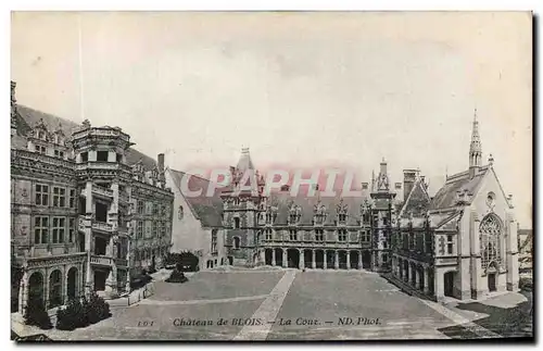 Cartes postales Chateau de Blois La Cour