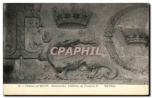 Ansichtskarte AK Chateau de Blois Salamandre Embleme de Francois 1er