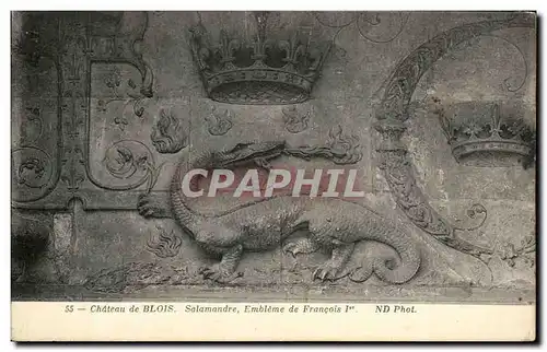 Cartes postales Chateau de Blois Salamandre Embleme de Francois 1er