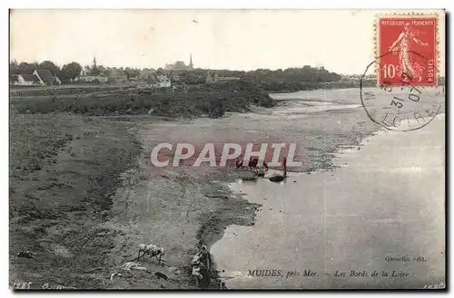 Cartes postales Muides Pres Mer Les Bords de la Loire Lavandieres