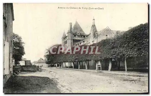 Cartes postales Avenue Du Chateau De Talcy