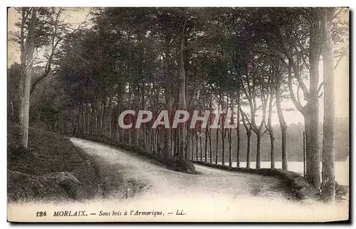 Cartes postales Morlaix Sous Bois a L'Armorique