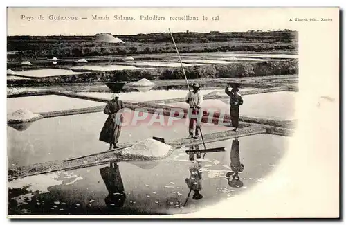 Cartes postales Pays Guerande Marais Salants Paludiers Recueillant le sel