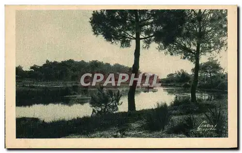 Cartes postales Autour du bassin d'Arcachon Reservoirs des Jacquets