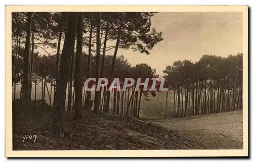 Ansichtskarte AK Arcachon Les Grandes Dunes de la Ville d&#39Hiver