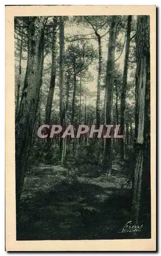 Cartes postales D'Arcachon Autour Du Bassin