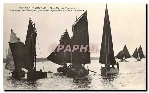 Cartes postales Concarneau Nos Marins Bretons Le rentree des Barques par brise legere les voiles en ciseaux Bate