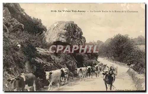 Ansichtskarte AK La Vallee Tre Auray La Grande Roche de la Route de la Chartreuse Vaches