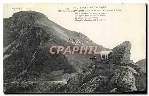 Ansichtskarte AK L&#39Auvergne pittoresque Le Puy Mary Vu de la Route de Murat a Salers Chevre