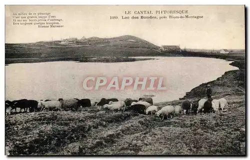 Ansichtskarte AK Le Cantal Pittoresque Lac des Bondes Pres Riom es Montagne Moutons