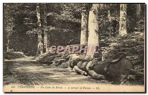 Ansichtskarte AK Compiegne Un Coin de Foret (animee)