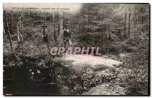 Cartes postales Foret de Huelgoat Le Petit tour du ruisseau